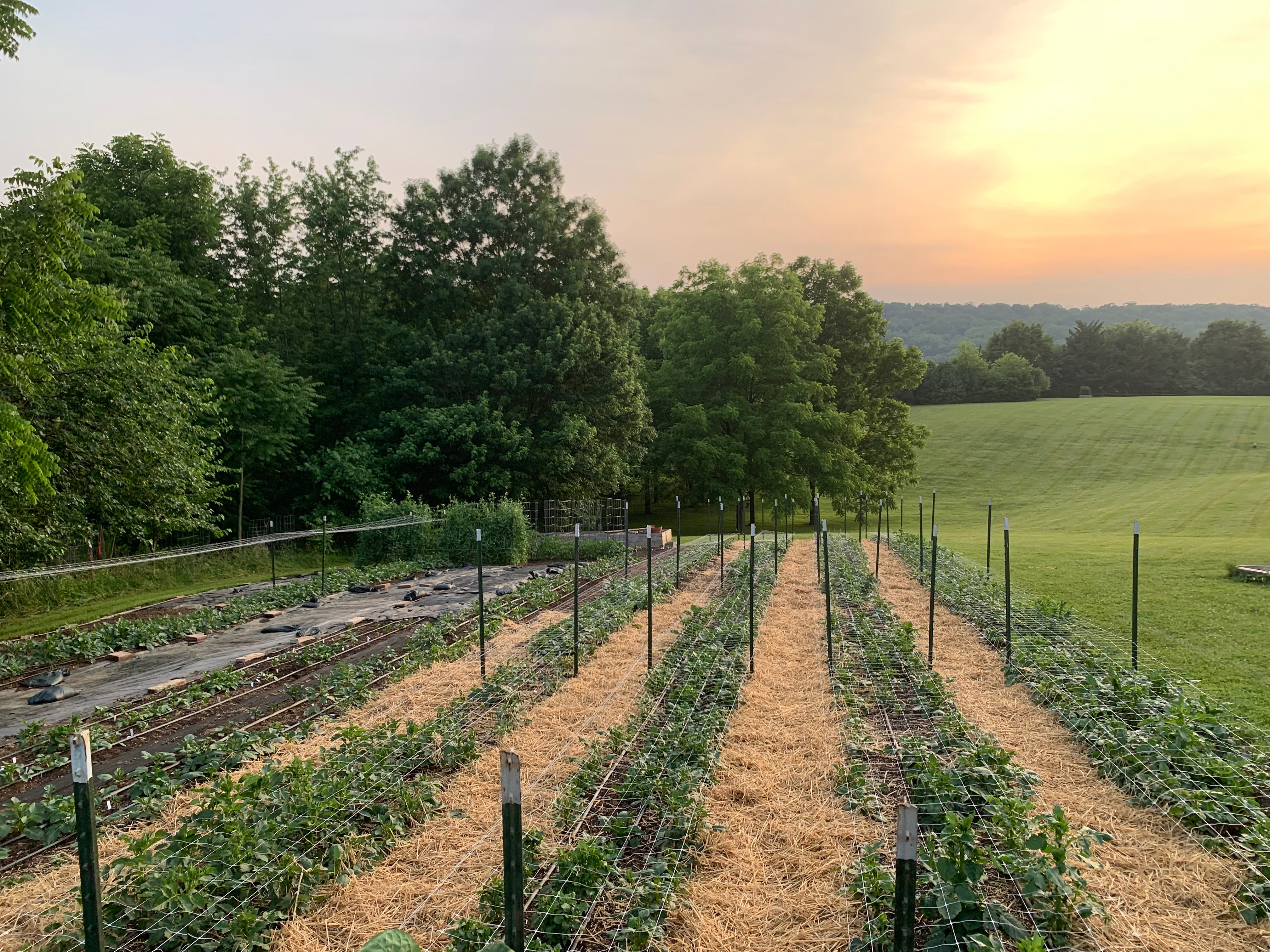 Farm Ridge Valley Our Story – Valley Ridge Farm
